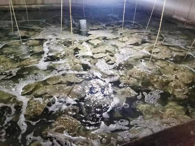 工作人员在岸上用水管冲洗料台表面的青苔和残饵,筛网清晰可见,旁边摆放着消毒用的塑料桶和手套;背景为整齐堆放的多个备用料台 料台清洗与维护场景