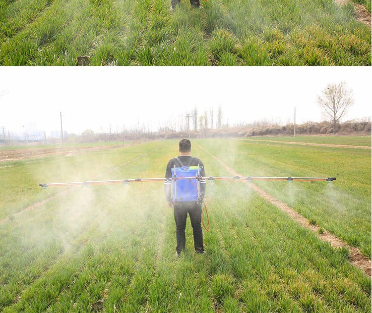 农民在田间喷洒农药防治黑芝麻虫害