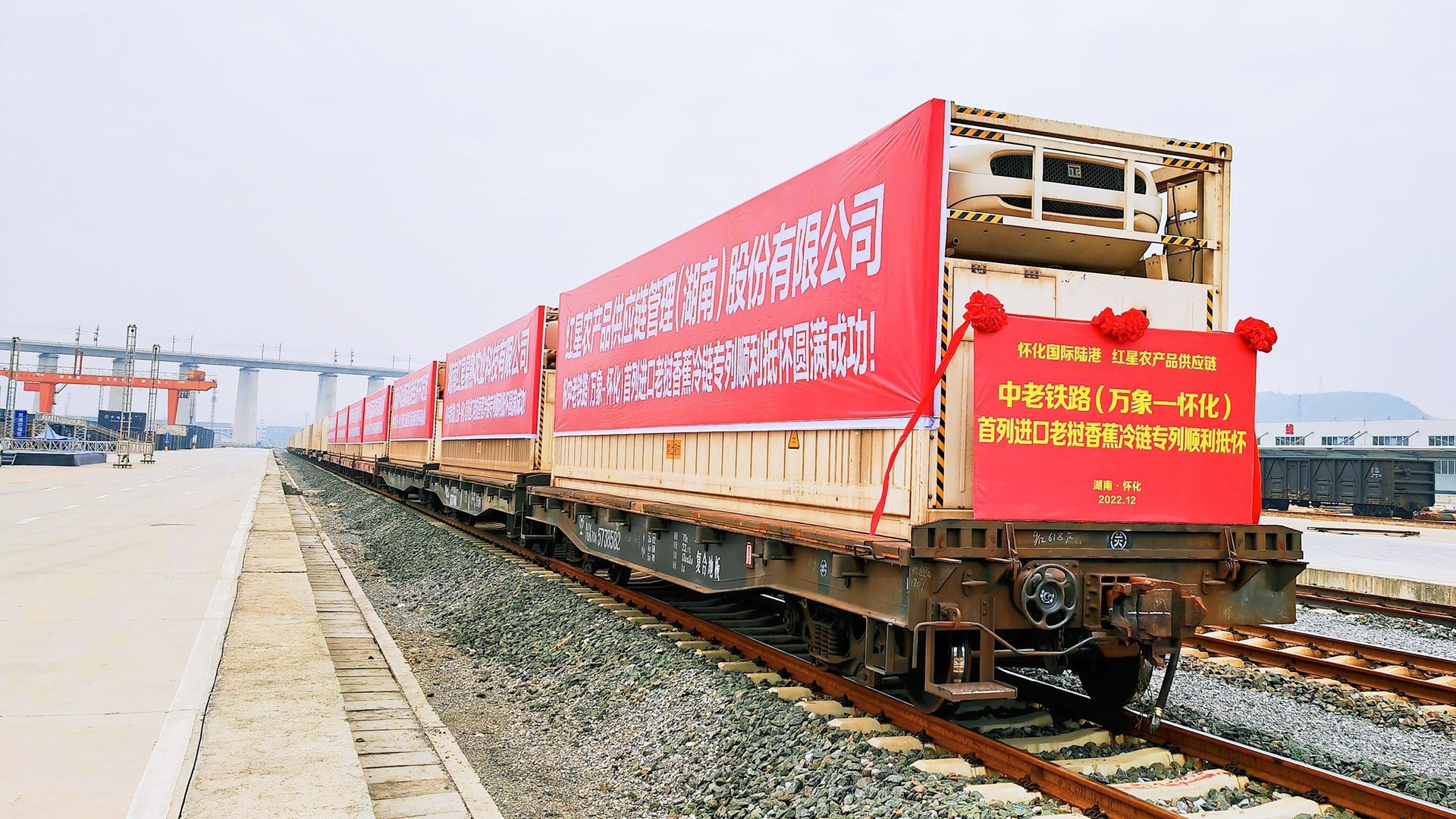 广西凭祥友谊关口岸,多辆悬挂越南牌照的冷藏货车正排队等待通关,车上装载着印有‘Durian – Made in Vietnam’字样的纸箱,边检人员正在进行检疫查验,现场有中文与越南文双语标识 中越边境凭祥口岸榴莲货运车辆排队通关场景