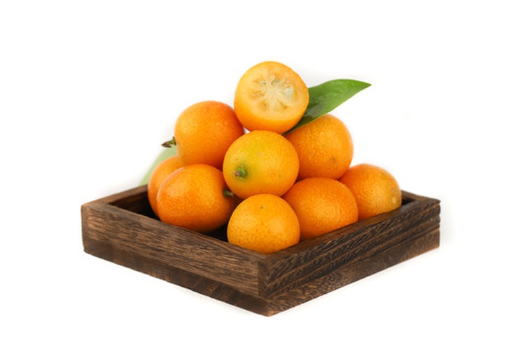 冰箱中存放金桔的保鲜盒