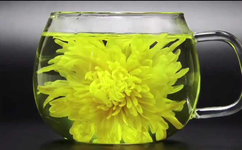 一杯透明玻璃杯中盛有淡黄色的黄野菊花茶,两朵完整的花朵漂浮其中,杯壁可见细微气泡,旁边摆放一小碟干燥的黄野菊花干品,整体画面温馨自然,突出饮品的安全与健康属性 黄野菊花茶冲泡效果图