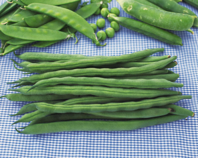 豆角对比图
