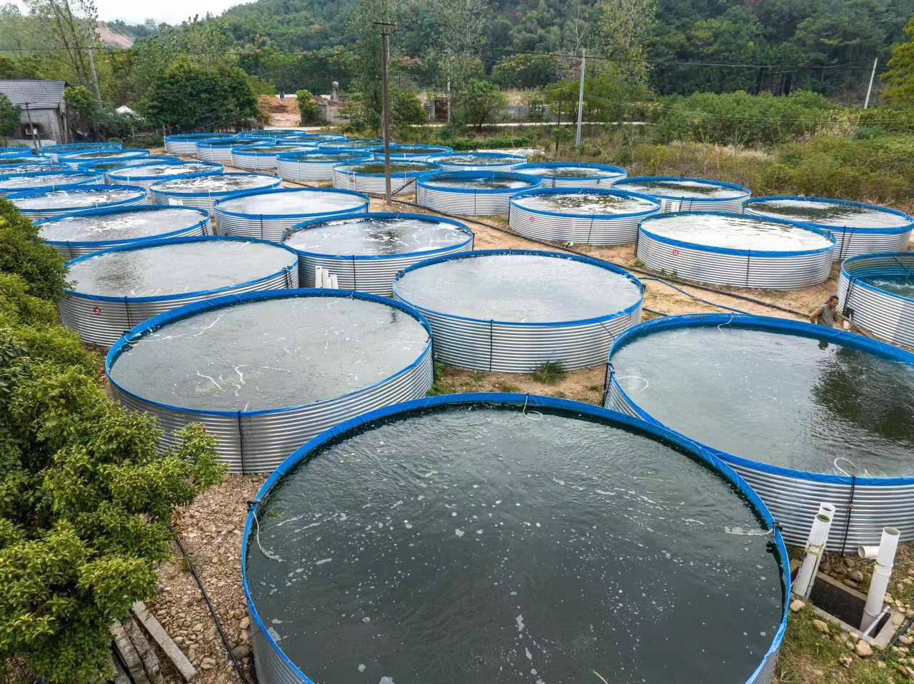 高位池对虾养殖场航拍图