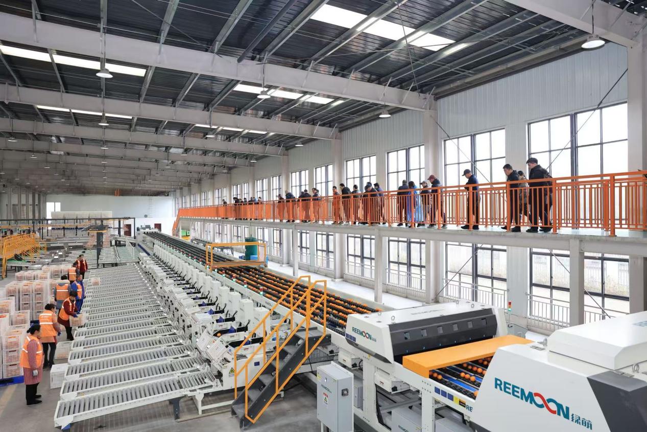 青翘标准化初加工车间布局图