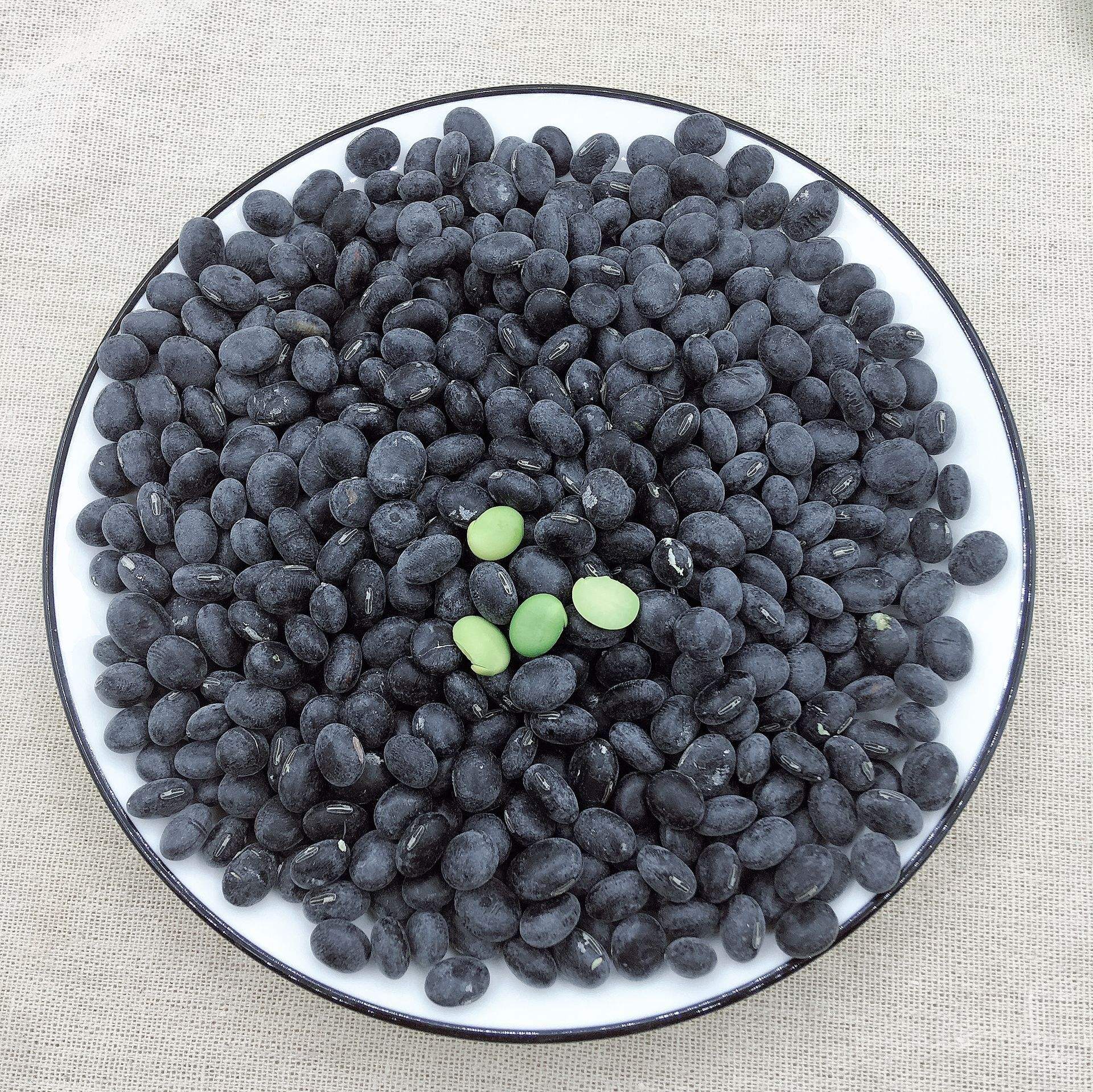 一组不同颜色的豆类并列摆放:黑豆、红豆、绿豆、芸豆,背景为白色布纹,突出黑豆的独特色泽与形态特征,用于说明黑豆在豆类家族中的特殊地位 黑豆与其他彩色豆类对比图