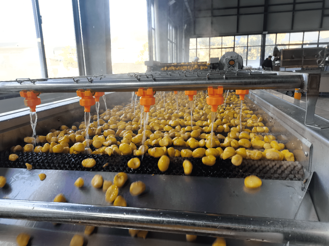 丹江口油板栗初加工车间