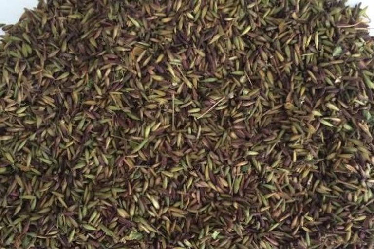 侧柏香料混合图