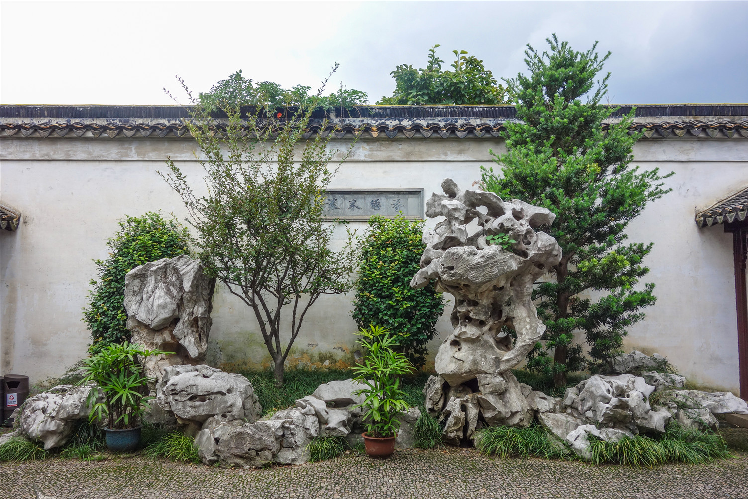 五角枫在园林景观中的应用