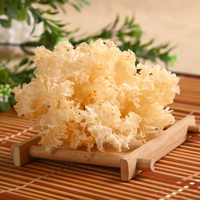 新鲜银耳与干制银耳对比图