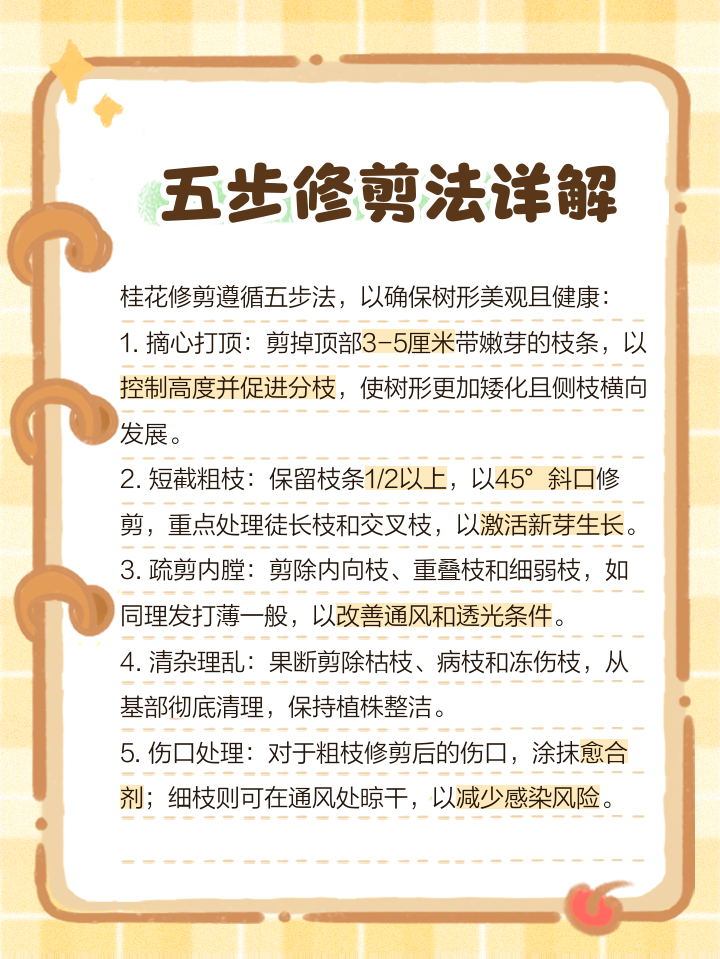 五角枫四季修剪时间节点对比图