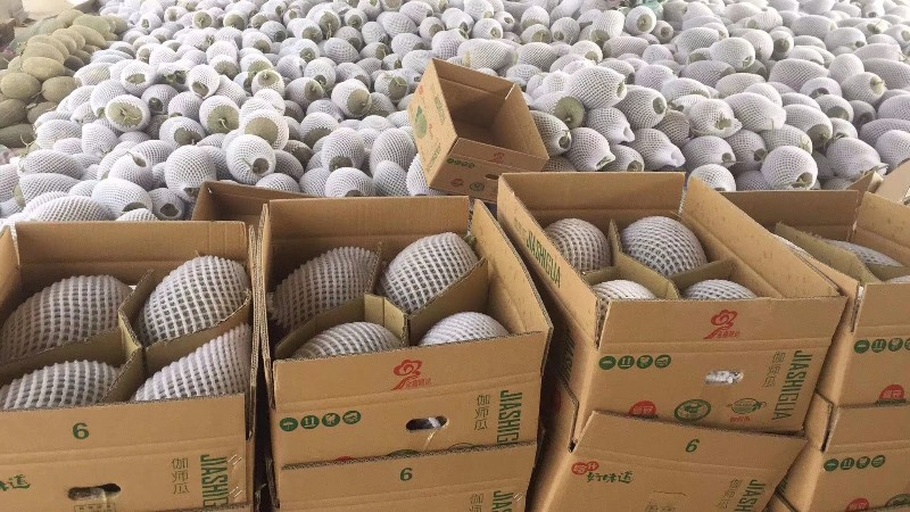 伽师瓜包装发货现场