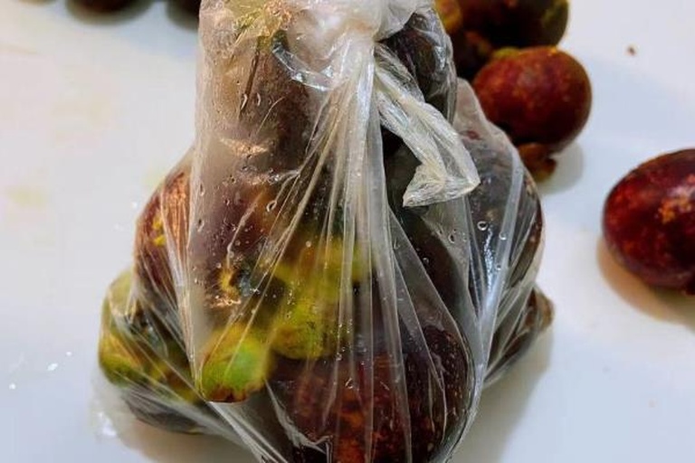 图示:透明食品级PE打孔保鲜袋内整齐摆放12个山竹,果蒂全部朝上;背景为冰箱冷藏室中下层,温度显示5.2℃;袋旁放置电子湿度计,读数为91%RH;无任何水渍或冷凝水附着果壳 山竹科学冷藏保存实景图