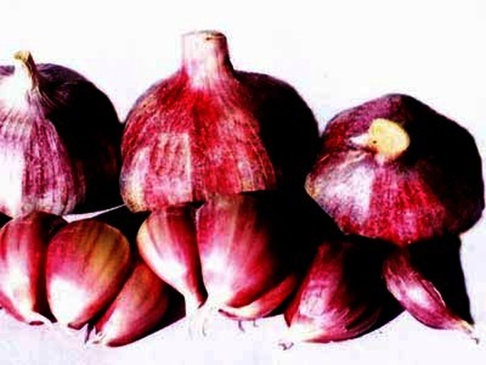 斜刀薄片法操作特写：不锈钢刀以30度角切入带露珠的紫皮蒜瓣，蒜片呈半透明椭圆形整齐排列于竹砧板上，背景虚化显示油锅微波纹