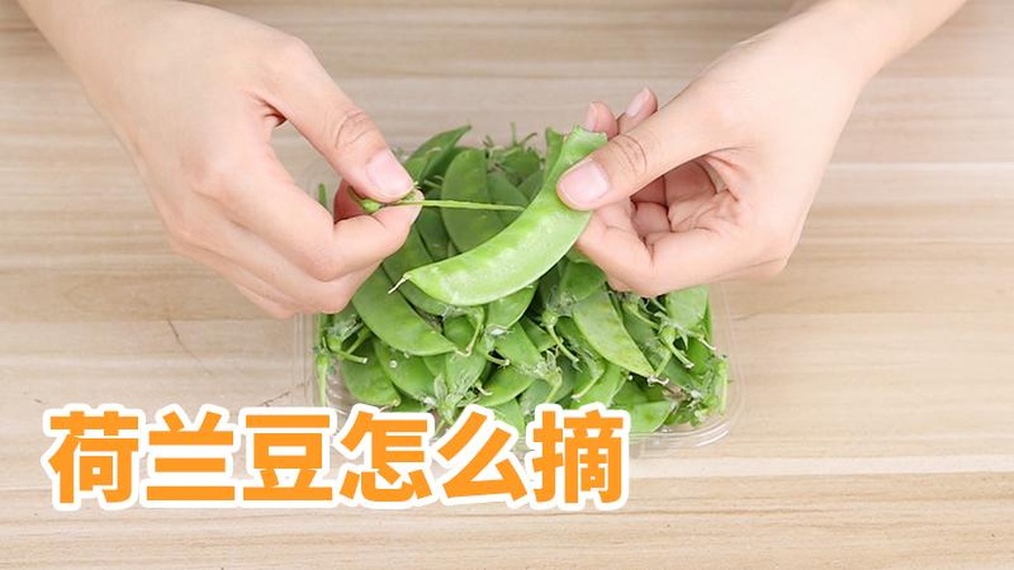 展示如何撕去荷兰豆两侧的筋膜,确保口感清爽 荷兰豆去筋示范图