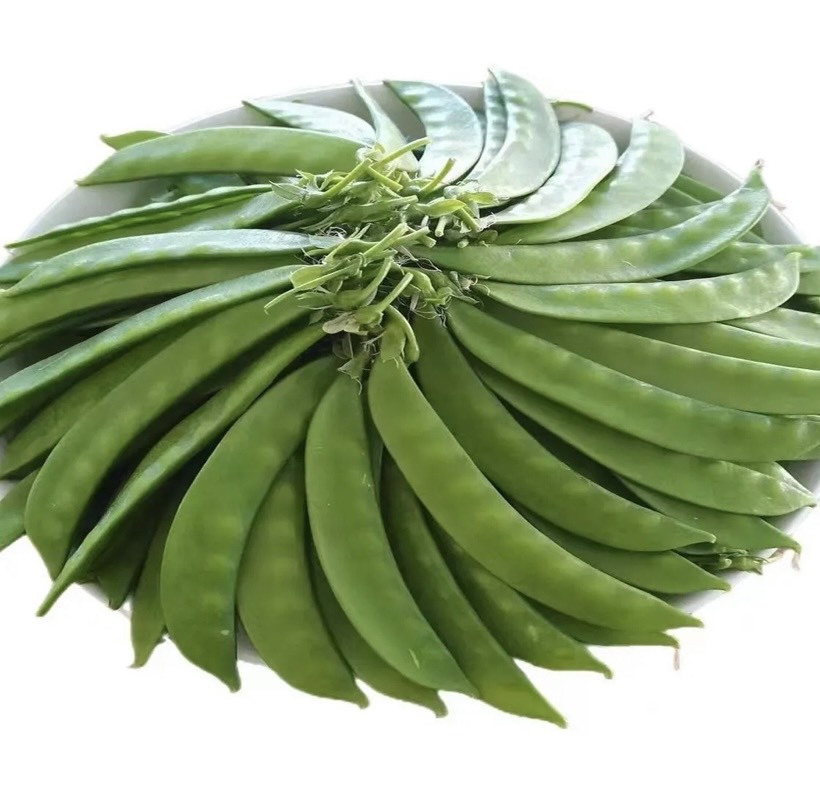 蒸熟的荷兰豆摆盘图,绿色鲜亮,摆盘美观 蒸熟的荷兰豆摆盘图