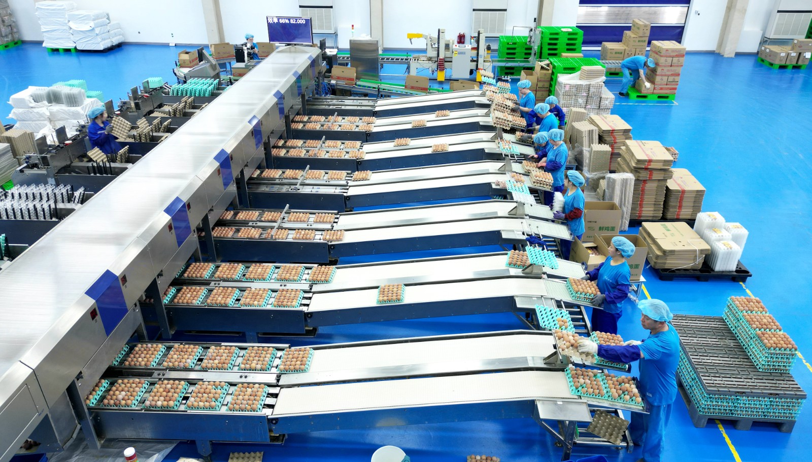 鸡蛋自动化清洗与杀菌生产线