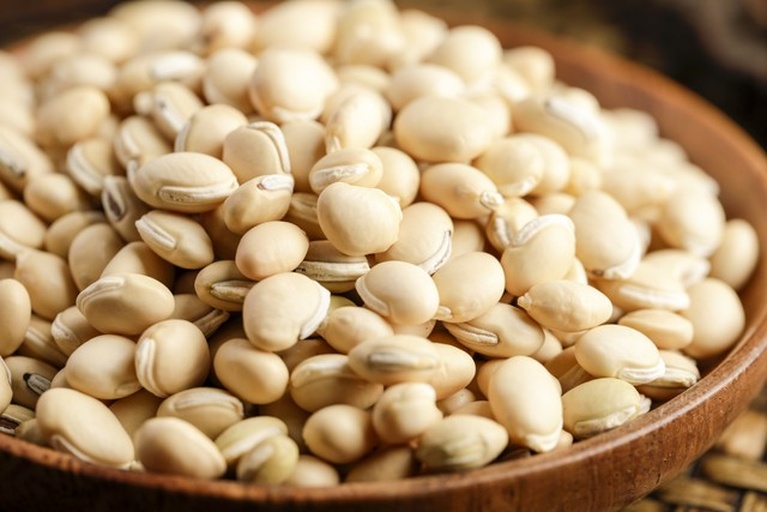 有机红扁豆特写