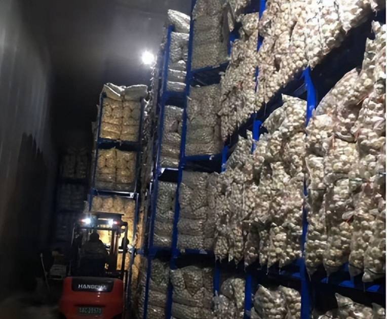 现代化冷库中堆放整齐的独头蒜包装箱