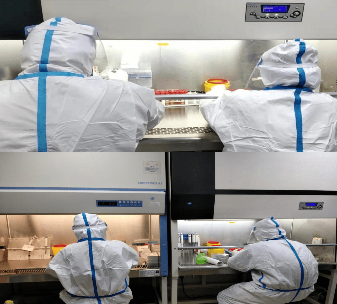 一名身穿白色实验服的科研人员在生物安全柜前操作,手中拿着一个透明培养皿,显微镜旁显示数据图表,背景为试管架和标注‘Garlic Extract’的样品瓶,体现大蒜抗病毒科学研究的真实场景 实验室研究人员观察培养皿中的病毒抑制实验