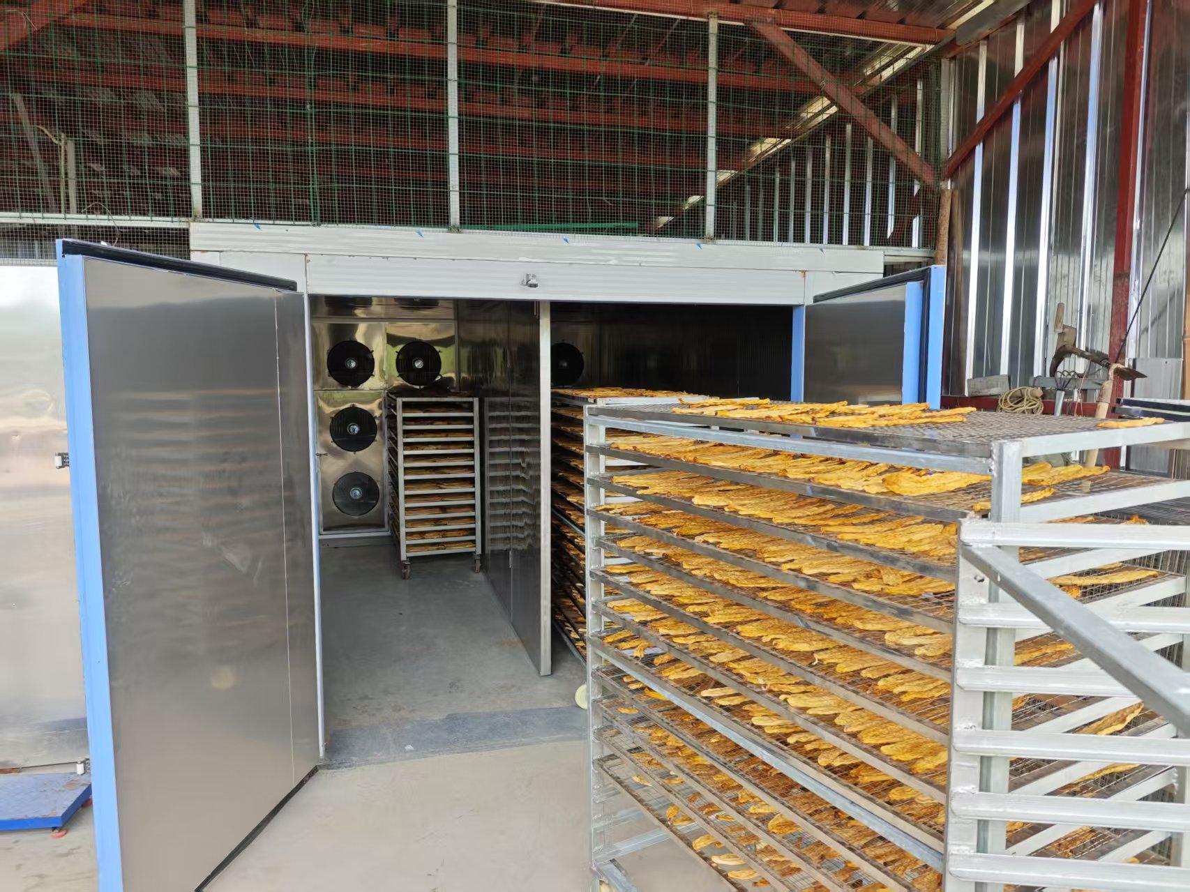 金桔烘干过程展示