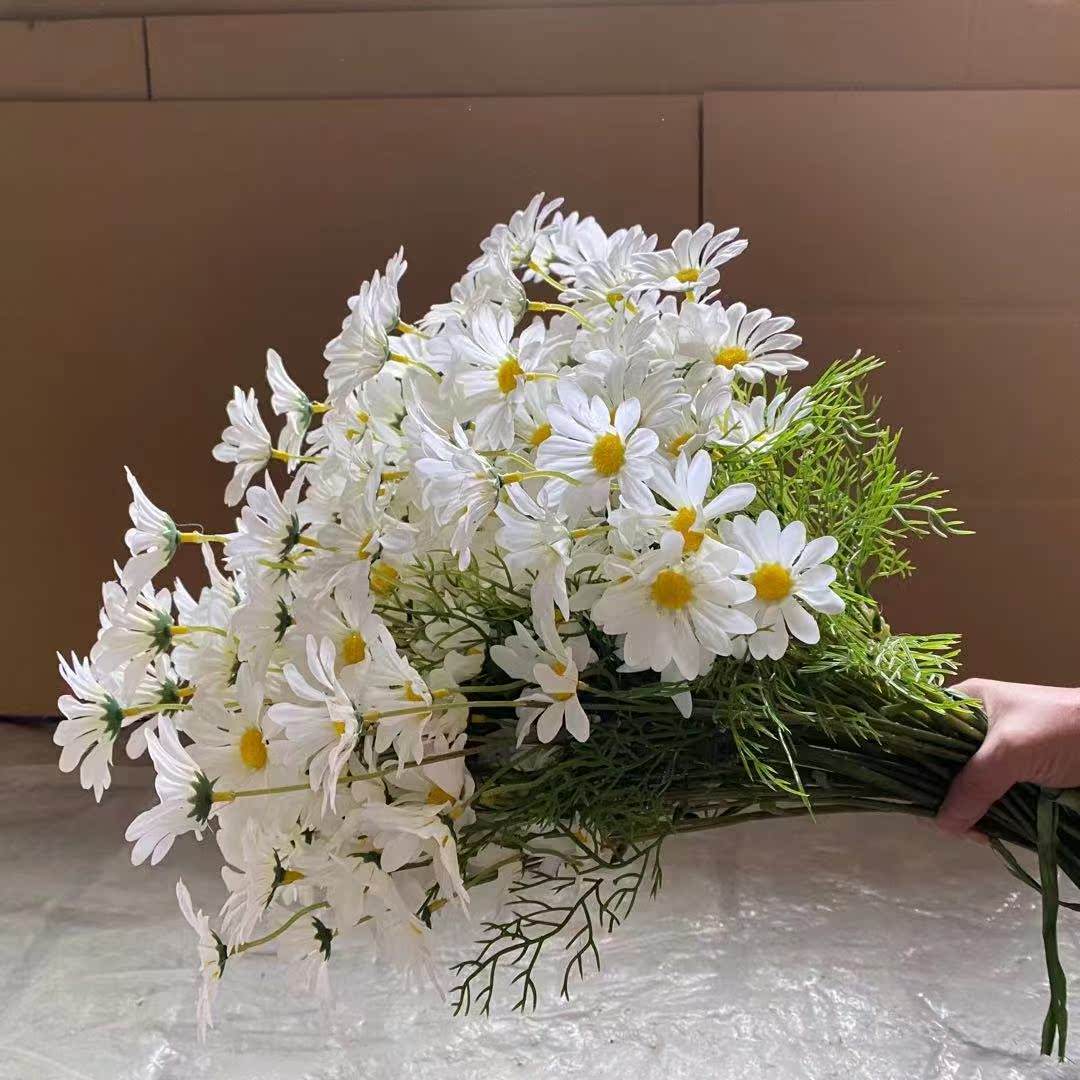 黑色雏菊在花艺设计中的应用