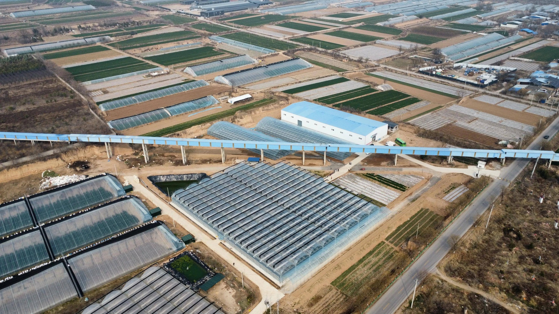 现代化甘蓝种植园区航拍图