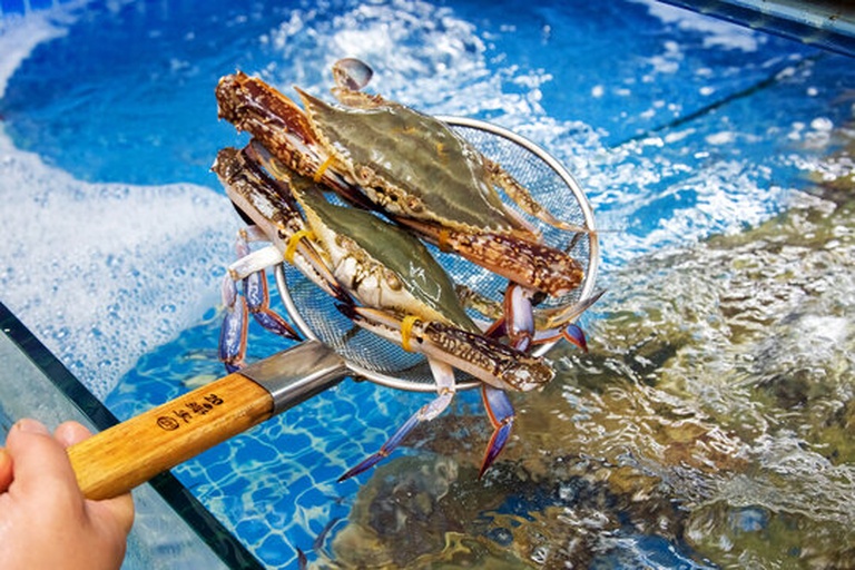 远海梭子蟹捕捞现场