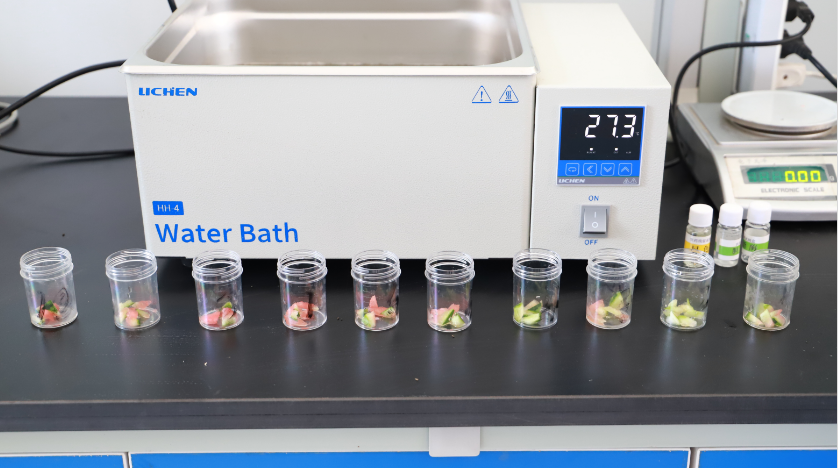 大豆质量检测过程