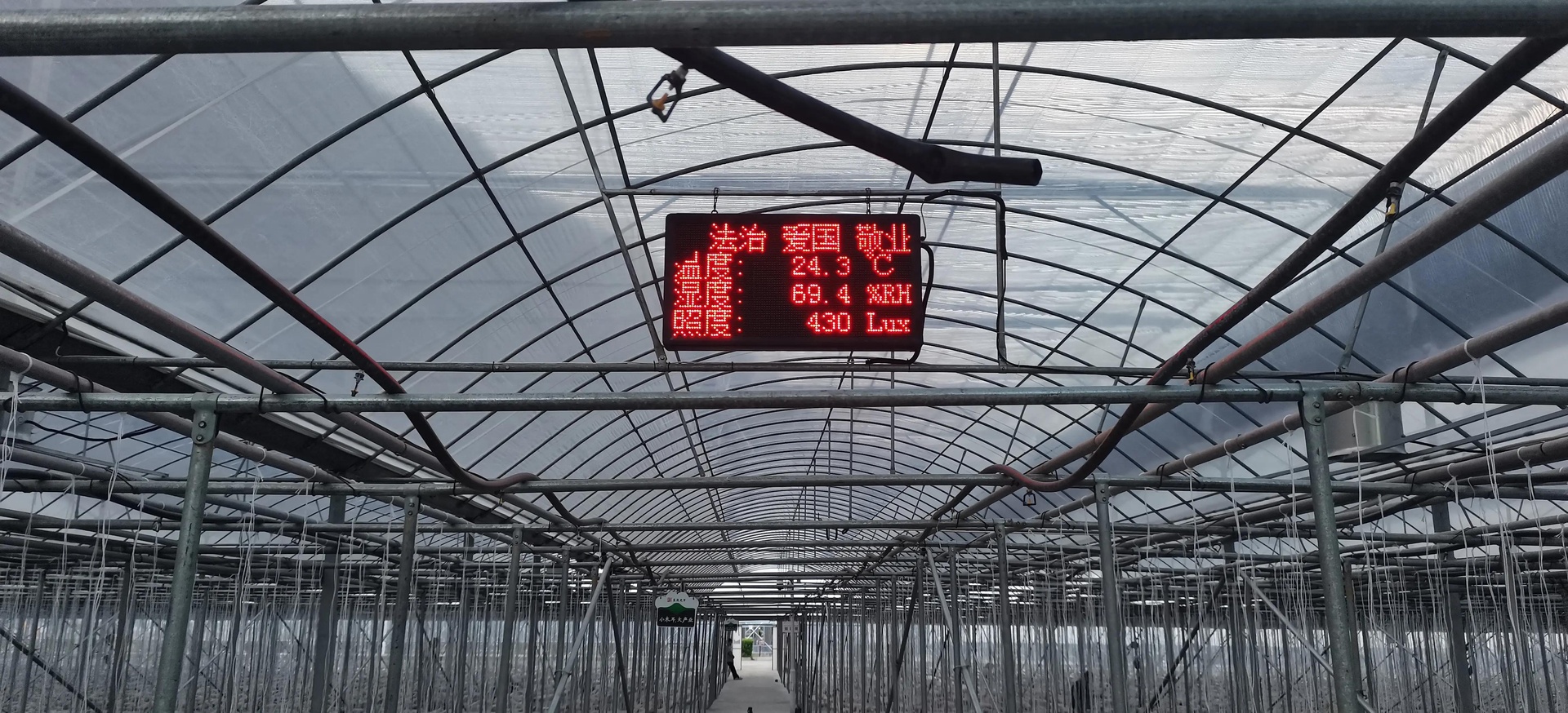 工人在大棚内调整通风口进行温湿度调控