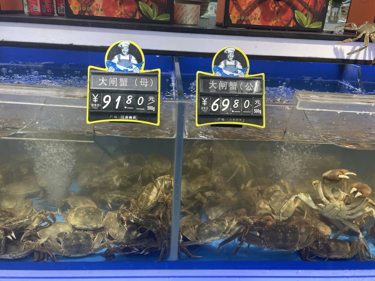 大闸蟹称重对比图