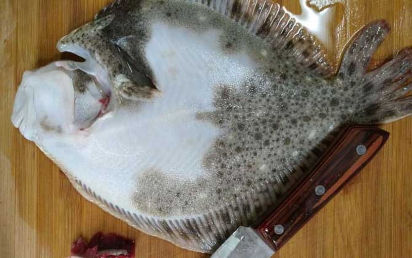 中景实拍:专业厨师在家庭厨房操作鲜椒过水鱼核心步骤——鱼片‘过水’过程,突出漏勺倾泻鱼片动作、微沸汤面特写(蟹眼泡清晰)、电子计时器精准显示3秒,强化‘3秒定嫩’技术要点 家庭厨房实操场景:厨师戴手套手持漏勺,将上浆鱼片缓缓滑入微沸高汤锅中,汤面平静仅冒蟹眼泡,计时器显示“00:03”,背景可见新鲜红绿辣椒堆放在砧板上