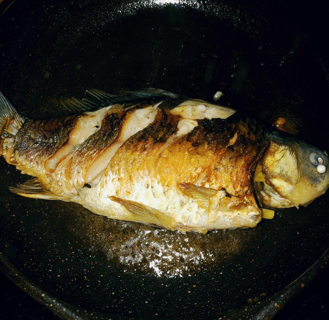 木瓜煲鲫鱼煎鱼特写