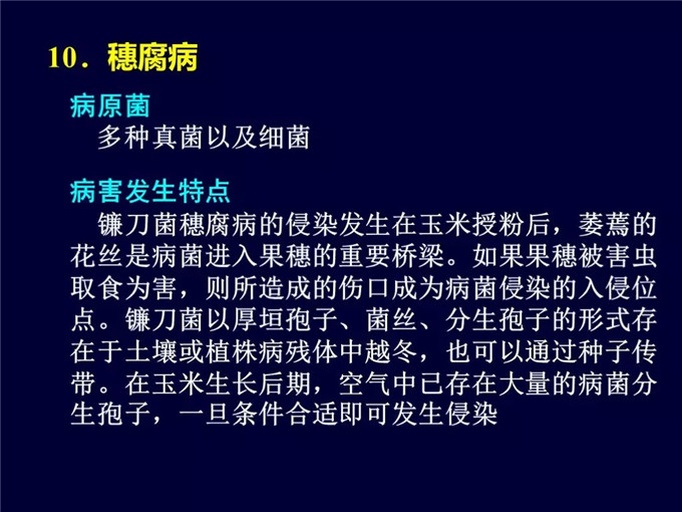 百合灰霉病典型症状：含苞期花序基部水渍状褐斑，表面覆盖灰褐色绒毛状霉层，相邻叶片边缘呈“V”形褐色大斑，叶面可见半透明坏死区