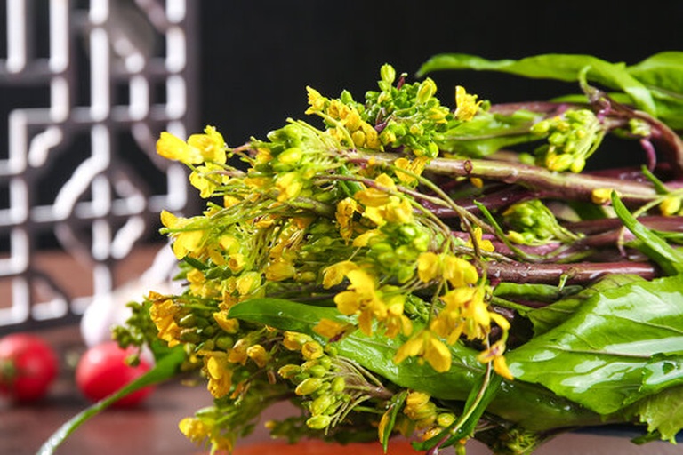 菜心与油菜嫩茎显微结构对比图