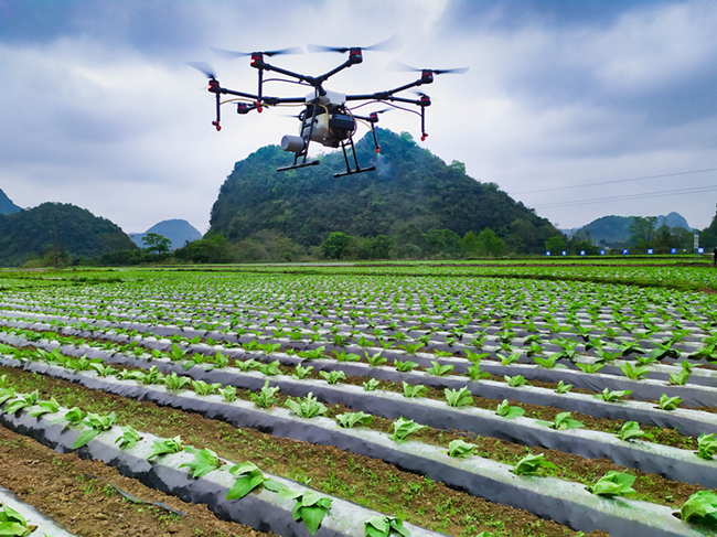 现代化山药种植基地航拍图