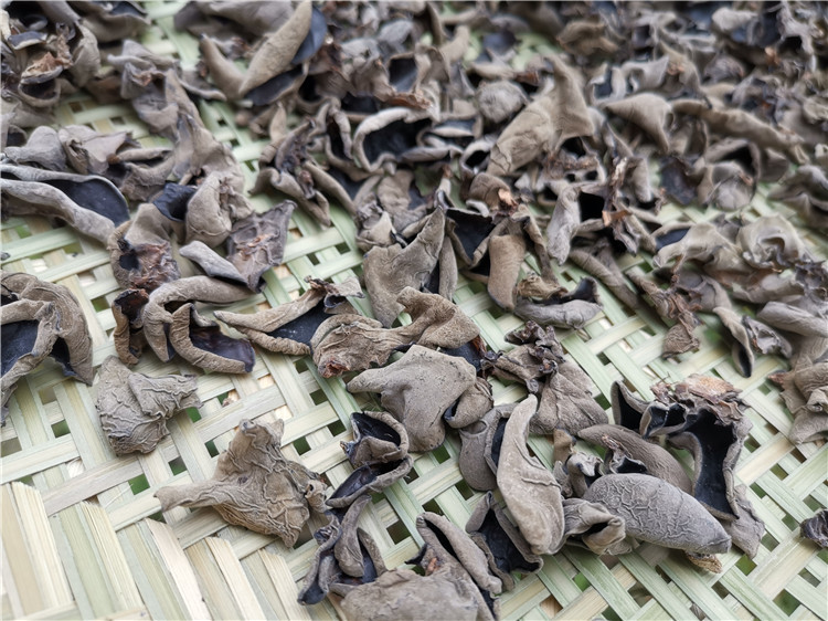 生活化实拍:科学储存干黑木耳的标准家庭方案——透明容器便于观察、环境参数可视化、辅材配置规范,体现可操作性强的日常管理逻辑 家庭厨房场景:玻璃密封罐内盛放干黑木耳,罐体标签清晰标注“生产日期:2023.09.15”,旁置食品干燥剂包与温湿度计(显示22℃/55%RH),背景为木质料理台与竹制收纳架