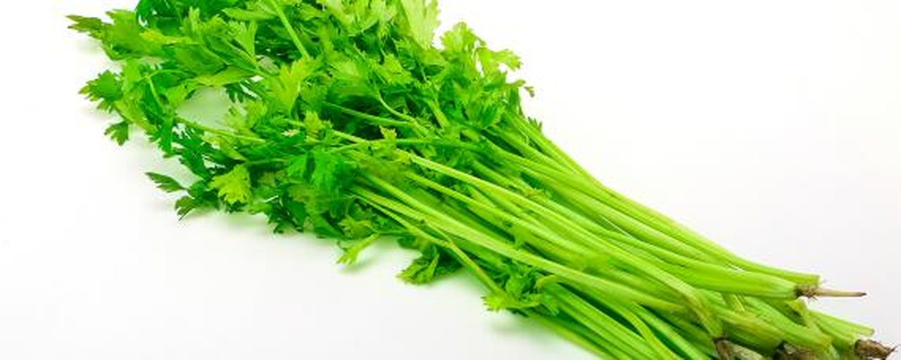 新鲜采摘的山芹菜特写，展示其茎叶细节
