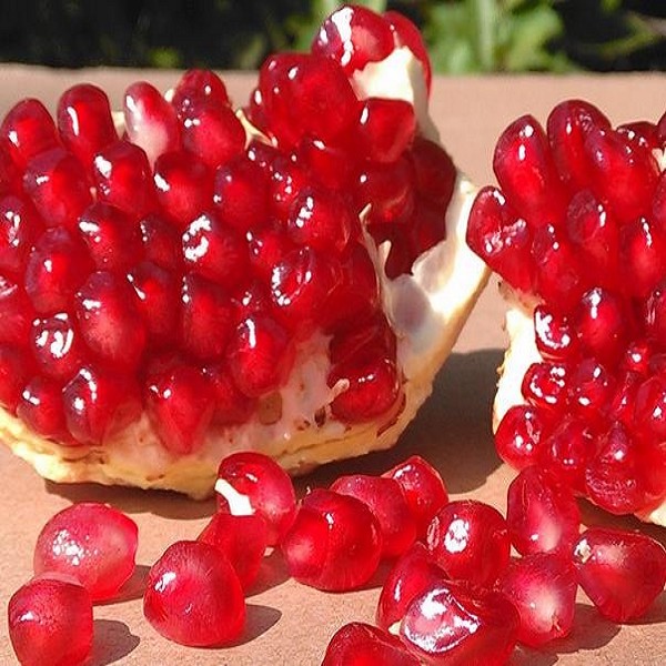 石榴横切面展示晶莹剔透的籽粒