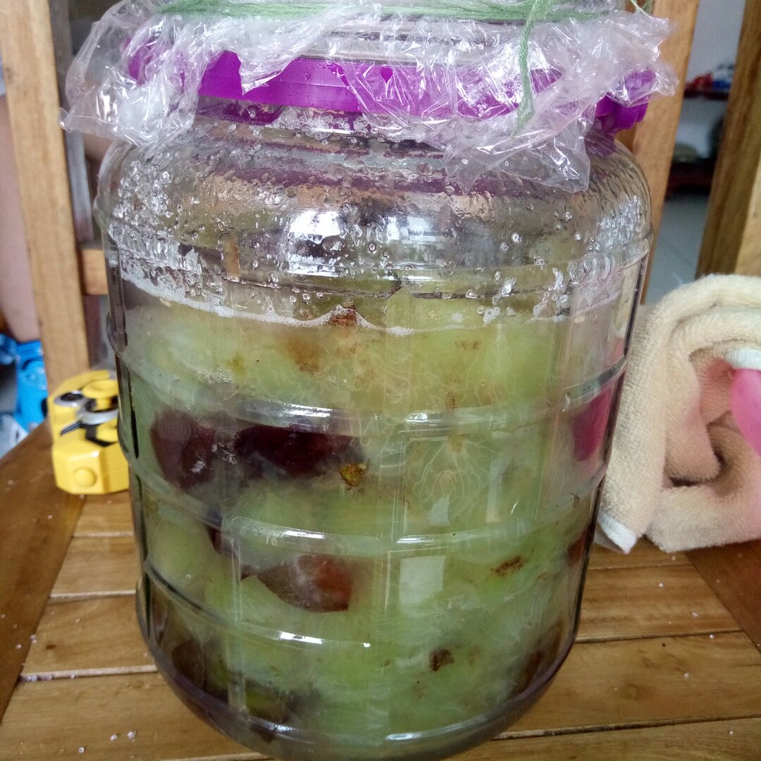 一个透明发酵桶内装有切碎的绿色木瓜块与麦麸混合物,桶口密封,外部贴有标签注明‘木瓜发酵第3天’,旁边放置温度计和pH试纸,展示科学发酵监控过程 发酵木瓜饲料制备流程图