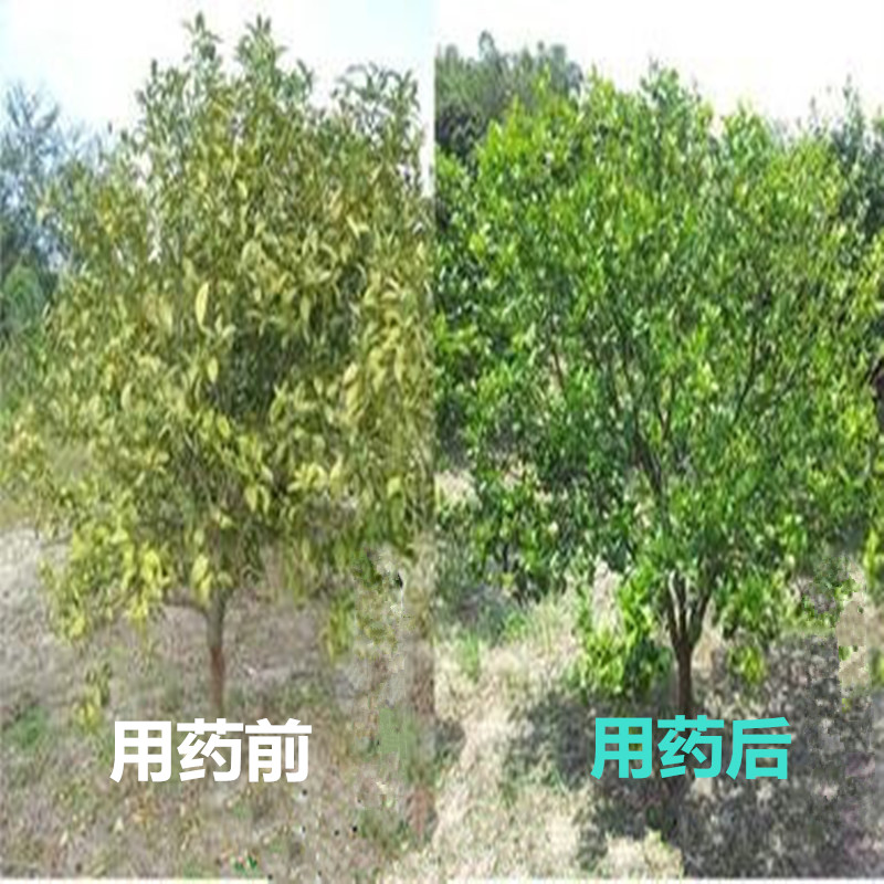 果树叶片药害症状图示