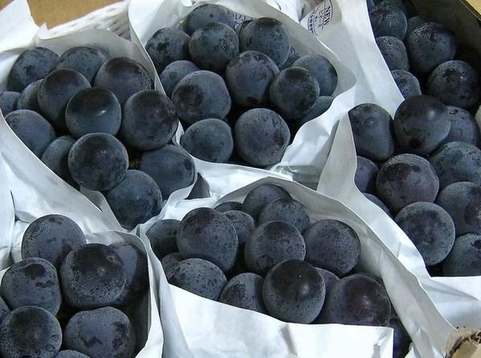 一组三联图展示蓝莓冷冻步骤:左侧为新鲜蓝莓平铺在烤盘上,中间为已冻结颗粒分明的状态,右侧为装入密封袋收纳进冷冻抽屉,背景为厨房冷色调环境 蓝莓冷冻过程示意图