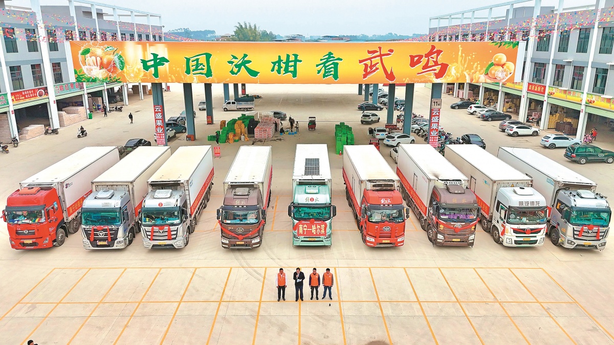 市场上的柑橘摊位对比图