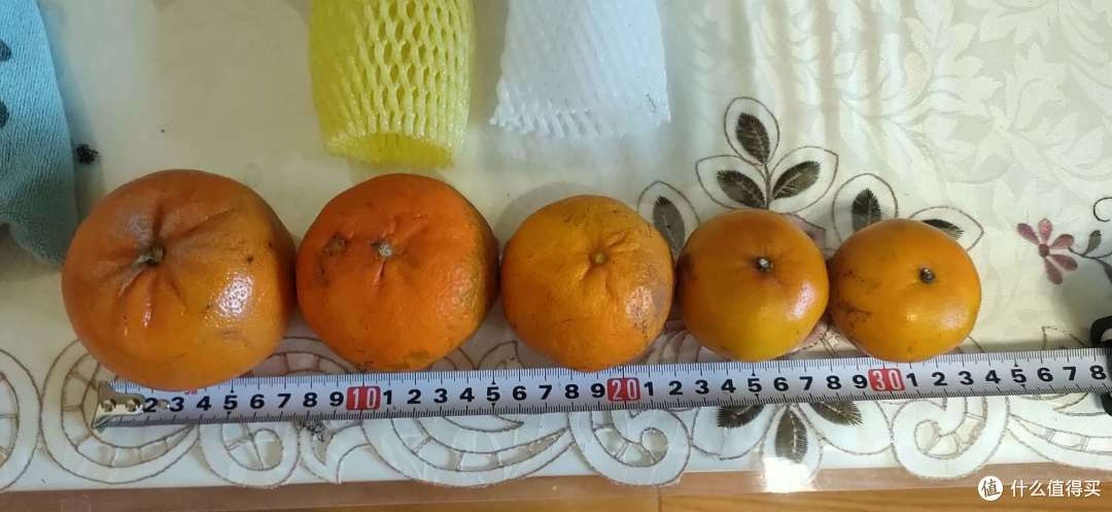 一张高清照片展示24个橙子被整齐地放在电子厨房秤上,背景中有尺子和记事本,强调精确测量的主题 厨房秤上放置着24个整齐排列的橙子,周围有尺子和笔记本用于记录数据,营造科学测量氛围