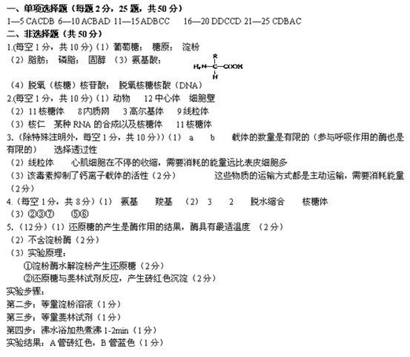 一张科学插图,左侧展示白梨芦醇的化学分子结构(C14H12O3),右侧列出其主要生物作用路径:包括激活SIRT1、抑制NF-κB、促进NO生成、清除ROS自由基;图中配有箭头标注信号传导方向,并附有简要文字说明 白梨芦醇分子结构示意图与作用路径图