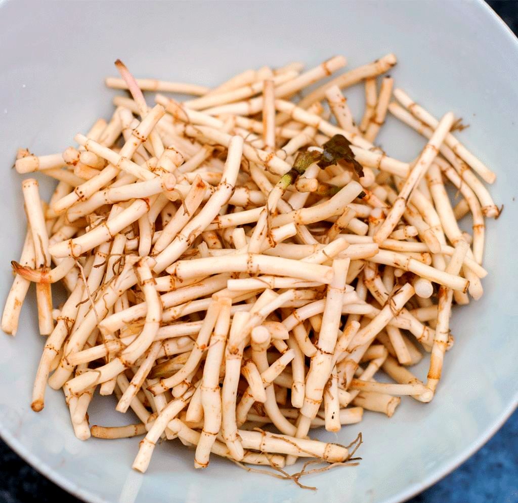 新鲜茭白剥去外皮露出洁白茎部,旁边摆放着紫皮洋葱和青红椒切片,案板上有刀具和砧板,背景为厨房操作台 图片描述