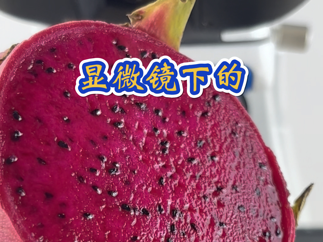 红心火龙果切面特写，果肉呈深紫红色，密布细小黑色籽粒，表面微泛水润光泽，背景为白色陶瓷盘与竹制砧板