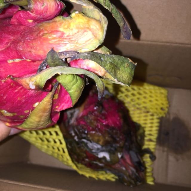 火龙果储存对比示意图