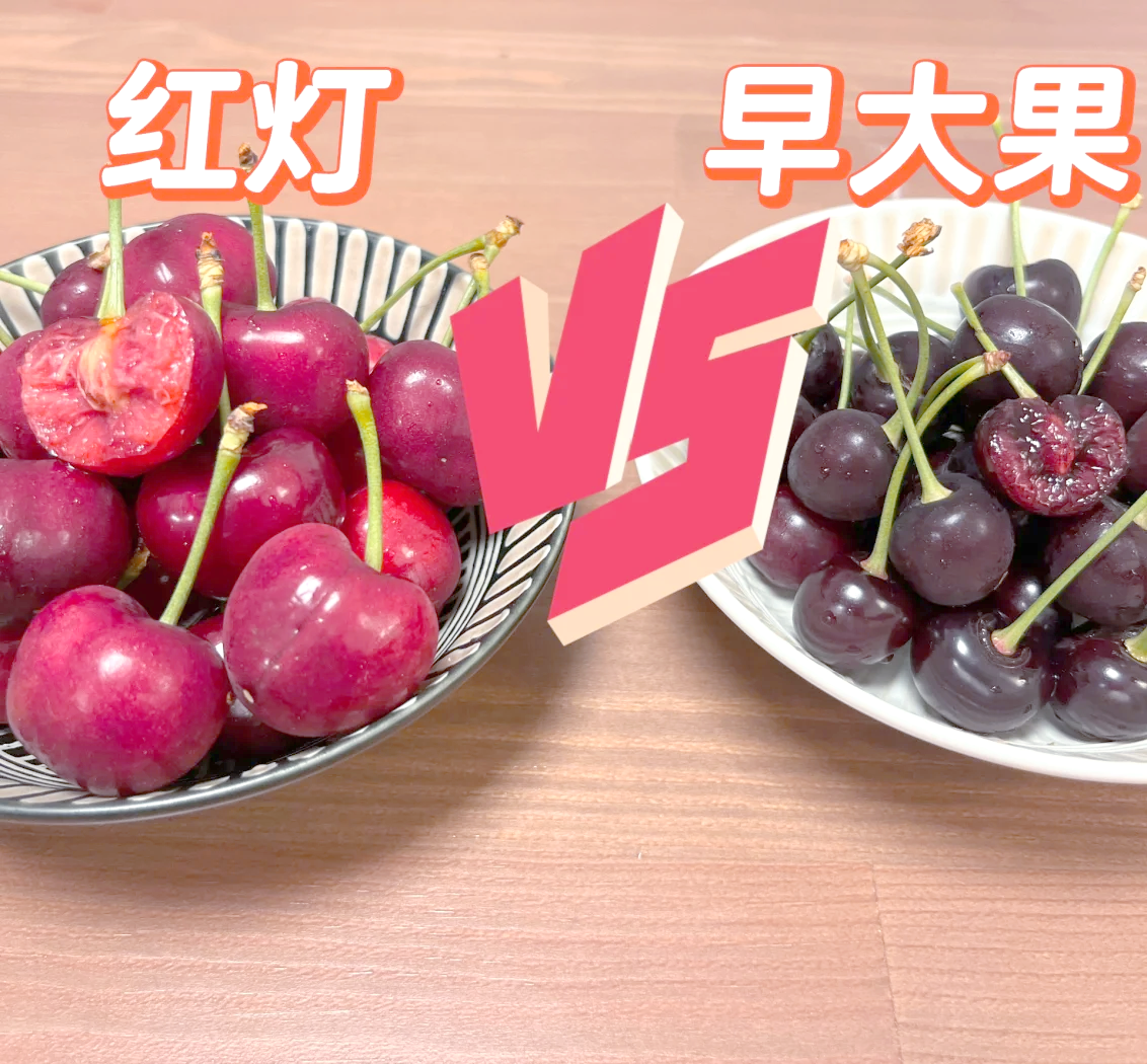 美早樱桃与本土小樱桃对比图