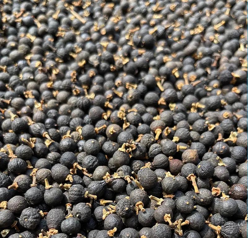 黑胡椒与白胡椒对比图
