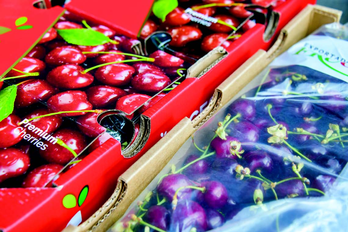 不同车厘子品种切面展示图